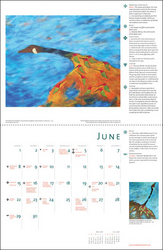 Multifaith Calendar 2008